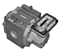Ротационные счетчики газа RVG G16-G250 Ротационные счетчики газа RVG G16-G250